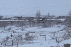 Հայրենիք տեղափոխված հայ հովվին ադրբեջանցիները չեն վնասել, բայց ոչխարներին չեն վերադարձրել