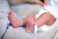 Հայաստանում 6 ամսում ծնվել է 14 հազար 609 մարդ, մահացել՝ 13 հազար 12-ը