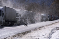 Վրաց-հայկական սահման տանող ճանապարհին ծանր բեռնատարների երթևեկությունն արգելված է