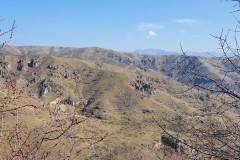 Խնձորեսկի սահմանի մոտ ադրբեջանցիները 173 գլուխ ոչխար են տարել. բանակցություններից հետո վերադարձրել են