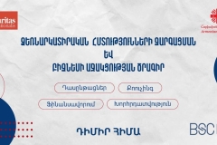 «ՁԵՌՆԱՐԿԱՏԻՐԱԿԱՆ ՀՄՏՈՒԹՅՈՒՆՆԵՐԻ ԶԱՐԳԱՑՈՒՄ ԵՎ ԲԻԶՆԵՍԻ ԱՋԱԿՑՈՒԹՅՈՒՆ» ՆԱԽԱԳԾԻ ՀԱՅՏԵՐԻ ԸՆԴՈՒՆՈՒՄ