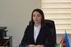 Ըստ Բաքվի, Հայաստանին ներկայացված առաջարկում կա երկու երկրների տարածքային ամբողջականությունը փոխադարձաբար ճանաչելու դրույթ