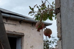 Մարտունու Բերդաշենում մարդկանց այգիների միջով սահման են գծում. հայկական կողմից մարդ չկա