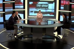 Տարբեր կարծիքներ Աննա Դանիելյանի հետ