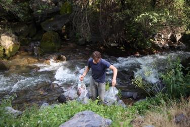 Հայաստանում գտնվող օտարերկրացիները մաքրել են Գառնու տաճարի հարակից տարածքը