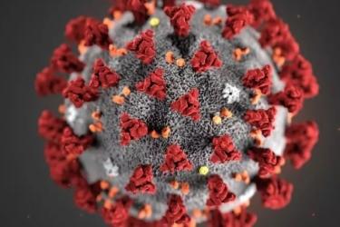 ՀՀ-ում արձանագրվել է կորոնավիրուսով վարակման 459 դեպք, առողջացել է 706 պացիենտ, մահացել՝ 10-ը