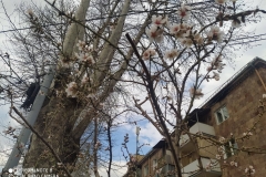 Ամեն ինչ  յուր ժամանակն ունի