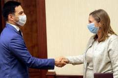 Ռուստամ Բադասյանն ու Լին Թրեյսին քննարկել են մաքսային և հարկային վարչարարության ոլորտներում համագործակցության հարցեր