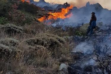 Սյունիքի մարզում այրվում է մոտ 60 հա բուսածածկույթ