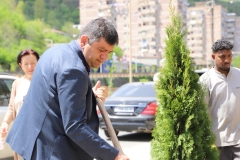 Կանաչապատման լայնածավալ աշխատանքներ՝ Կապանում
