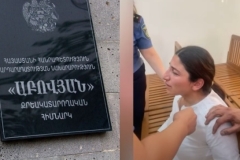 Լիանա Հարությունյանը և նրա 8 ամսական երեխան քրեակատարողական հիմնարկից տեղափոխվել են հիվանդանոց. պաշտպան