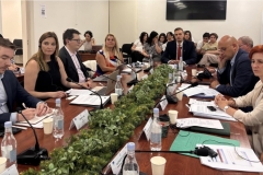 ՀԾԿՀ-ում ԵՄ փորձագետների մասնակցությամբ քննարկվում են էլեկտրաէներգիայի շուկայի բարեփոխումները