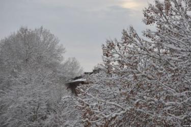 Ձյան առատ տեղումներ են սպասվում Սյունիքի նախալեռնային գոտում