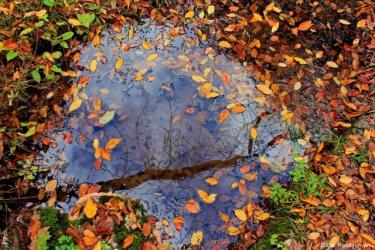 Հայաստանում արևային եղանակը կպահպանվի. տաք օդի ներհոսքը շարունակվում է