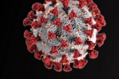 Սյունիքի մարզում նոր կորոնավիրոսային հիվանդություն ունի 754 մարդ