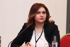 Արցախից զորքերի դուրսբերումը Ադրբեջանի հերթական պահանջն էր․ Էլիբեգովա