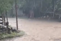 Սեպտեմբերի 11-ին տեղումնաբեր ցիկլոն կներթափանցի Հայաստան. Սուրենյան (վիդեո)