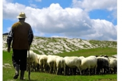 Առեւանգված հովիվը փոխանցվել է ռուս խաղաղապահներին