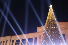 Մեծ հանդիսավորությամբ վառվեցին Կապան  քաղաքի գլխավոր տոնածառի լույսերը