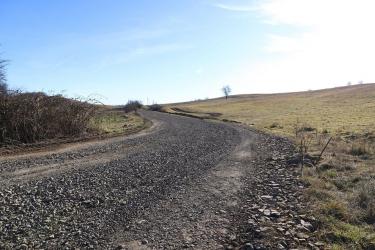 ԿԱՂՆՈՒՏԵՑԻՆԵՐԻ ԵՐԱԶԱՆՔԻ ՃԱՆԱՊԱՐՀԸ