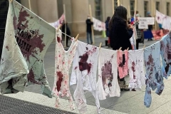 «Արյունոտ լվացք» Տորոնտոյում. ակցիա՝ ընդդեմ ադրբեջանական ագրեսիայի (լուսանկարներ)