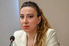 Բաքուն ՄԻԵԴ–ին չի տրամադրել լուսանկարներ, որոնք կարտացոլեին հայ գերիների վիճակը. Սահակյան