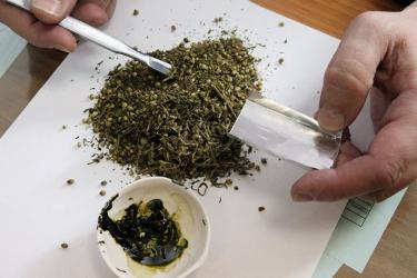 Մեղրիի զորամասի միջադեպը ծագել է, երբ զինվորները ծաղկամանում կանեփ են աճեցրել