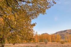 Սպասվում է առանց տեղումների եղանակ. oդի ջերմաստիճանն աստիճանաբար կնվազի 3-4 աստիճանով