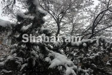 Այսօրվանից տեղումների դադար է. գիշերը կցրտի 6-8 աստիճանով, այնուհետ նույնքան կտաքանա