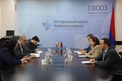 Քննարկվել են առողջապահության ոլորտում ՀՀ-Իրան համագործակցության ուղղությունները