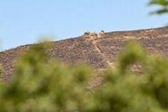 Արավուսին սահմանակից 13 ադրբեջանական դիրքերում ինտենսիվ շինարարություն է․ Արավուս գյուղի վարչական  ղեկավար Արգամ Հովսեփյան