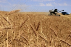 ՀՀ կառավարության որոշմամբ, ժամանակավոր արգելք է սահմանվել մի շարք գյուղատնտեսական արտադրատեսակների արտահանման նկատմամբ