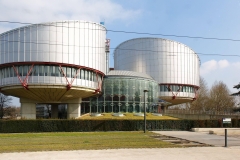 Ադրբեջանը բողոքարկել է մայոր Թորոյանի գործով ՄԻԵԴ-ի վճիռը