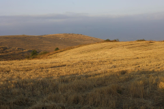 Խնածախում Կարմիր խաչը վերականգնել է ավելի քան 30 տարի խոպան մնացած վարելահողերը