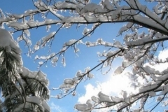 Օդի ջերմաստիճանը փետրվարի 4-5-ը՝ գիշերը աստիճանաբար կբարձրանա 5-6 աստիճանով. սպասվում է առանց տեղումների եղանակ