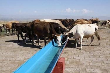 Անասնապահության զարգացումը խթանելու նպատակով կառավարությունն ընդունեց նոր որոշում