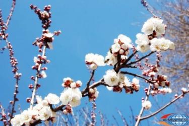 Սպասվում է տաք, հրաշալի գարնանային շաբաթ. Գագիկ Սուրենյան