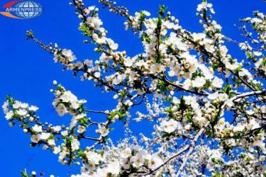 Հայաստանում օդի ջերմաստիճանը կբարձրանա 2-3, այնուհետև կնվազի 8-10 աստիճանով