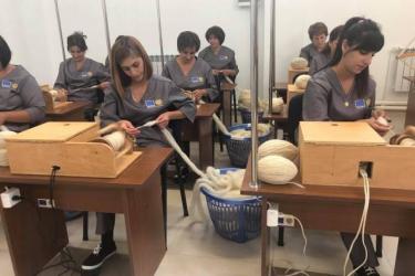 Ամասիայում շահագործման հանձնվեց բրդի գործարան