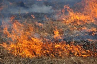 Սյունիքի մարզում հրդեհների օջախները կազմել են 684.9հա խոտածածկ ու անտառապատ տարածքներ