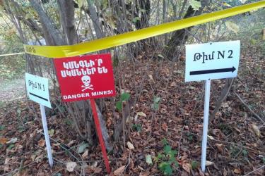 Դավիթ Բեկ բնակավայրի մայրուղու հարևանությամբ գտնվող անտառում այլևս ականներ չկան