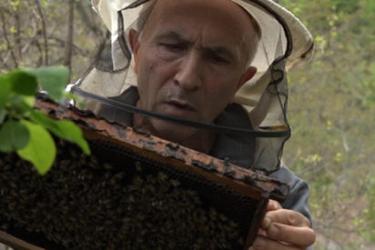 Սյունիքում 91 ընտանիք 700 հազարական դրամ դրամաշնորհ է ստացել