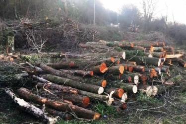 Շրջակա միջավայրին հասցվել է 10 մլն դրամից ավելի վնաս. Մանրամասնում է տեսչական մարմինը