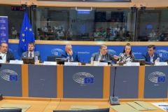 Ինչպես հայրս ասել է՝ այս դատավարությունն ուղղված է Հայաստանի Հանրապետության դեմ. Դավիթ Իշխանյանի որդին` Եվրոպական խորհրդարանում