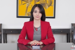 Հայաստանը պատասխանել է «խաղաղության պայմանագրի» նախագծի վերաբերյալ Ադրբեջանի վերջին առաջարկներին