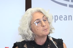 Պետական կառույցի աշխատողների վրա ճնշումներ են եղել՝ մասնակցելու իշխանության հավաքներին, մտահոգիչ է. ԵԱՀԿ դիտորդ