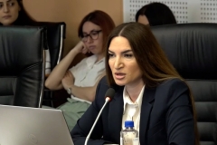 Եպիսկոպոսներին մեղադրյալի կարգավիճակով ՔԿ են կանչել, որ Ավստրիայի ժողովը տապալեն. պաշտպան