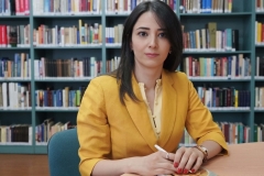 Խաղաղության պայմանագրի նախագծի վերաբերյալ ՀՀ-ի կողմից փոխանցված առաջարկին Ադրբեջանից պատասխան դեռևս չի ստացվել. ԱԳՆ մամուլի խոսնակ