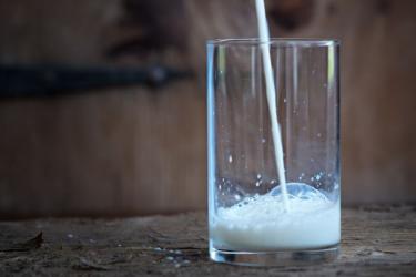 Ստեղծվելու է կաթի մթերման խնդիրներն ուսումնասիրող միջգերատեսչական հանձնաժողո