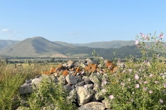 Օդի ջերմաստիճանը կբարձրանա 5-7 աստիճանով
